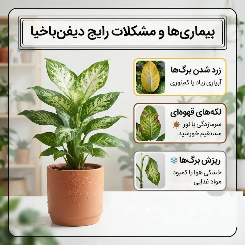 بیماری ها و مشکلات دیفن‌باخیا